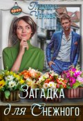 Обложка книги "Загадка для Снежного"