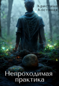 Обложка книги "Непроходимая практика"