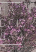 Обложка книги "Наблюдай"