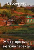 Обложка книги "Жизнь прожить, не поле перейти"