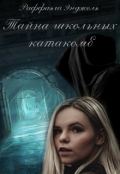 Обложка книги "Тайна школьных катакомб "