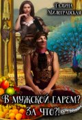 Обложка книги "В мужской гарем? За что?!"