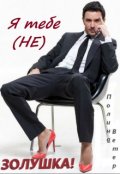Обложка книги "Я тебе не Золушка!"