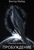Обложка книги "Узники ковчега - 1. Пробуждение"
