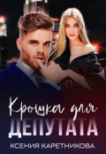 Обложка книги "Крошка для депутата"