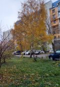 Обложка книги "Школа волшебников. Часть 1"