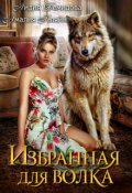 Обложка книги "Избранная для волка"