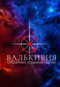 Обложка книги "Валькирия. Обратная сторона Небес."
