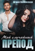 Обложка книги "Мой случайный препод"