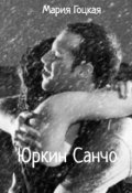 Обложка книги "Юркин Санчо"