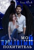 Обложка книги "Мой крылатый похититель"