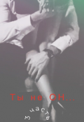Обложка книги "Ты не он"