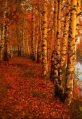 Обложка книги "Осенняя хандра"
