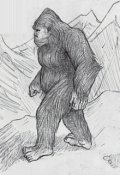 Обложка книги "Встреча с йети"