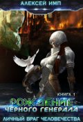 Обложка книги "Рождение Черного генерала"