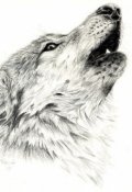 Обложка книги "Не тот выход"