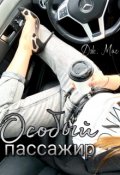 Обложка книги "Особый пассажир"