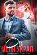 Обложка книги "Он меня украл"