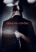 Обложка книги "Осколки серебра"