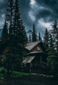 Обложка книги "Ценность"