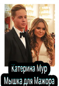 Обложка книги "Мышка для Мажора "