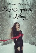 Обложка книги "Долгая дорога в Лавру"