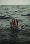 Обложка книги "Свободным быть..."