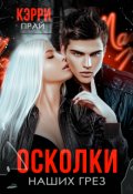 Обложка книги "Осколки наших грез "