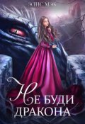 Обложка книги "Не буди дракона"