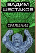 Обложка книги "Вадим Шестаков - Сражение"