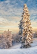 Обложка книги "Зимняя ловушка"
