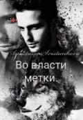 Обложка книги "Во власти метки. "