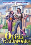 Обложка книги "Отец на стажировке"