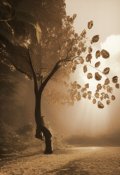 Обложка книги "Воздушное золото"