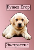 Обложка книги "Экстрасенс"