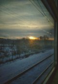 Обложка книги "Новогодняя суета"