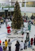Обложка книги "Подарок Санты"