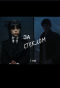 Обложка книги "За стеклом"