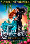 Обложка книги "Протеже советника. Подчинить тени"