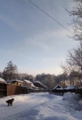 Обложка книги "Мудрость житейская"