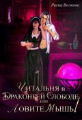 Обложка книги "Читальня в Драконьей слободе, или Ловите мышь!"