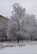 Обложка книги "Новогодние, очень волшебные истории"
