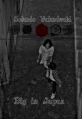 Обложка книги "Big in Japan"
