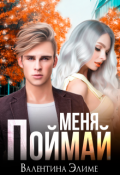 Обложка книги "Поймай меня"