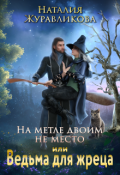 Обложка книги "На метле двоим не место, или Ведьма для жреца"