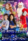 Обложка книги "Дед Мороз в Европе или Вернуть Снегурочку"