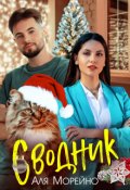 Обложка книги "Сводник"