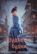 Обложка книги "Трудовые будни барышни-попаданки"