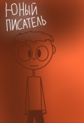 Обложка книги "Юный писатель"