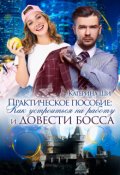 Обложка книги "Как устроиться на работу и довести босса"